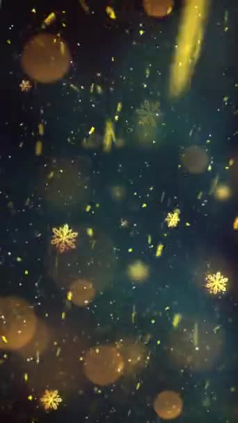 Mobile Vertical Resolution 1080X1920 Pixels Christmas Gold Snow Snowflakes Background — Stock Video