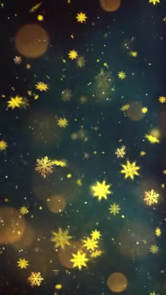 Κινητό Κάθετη Ανάλυση 1080X1920 Pixels Christmas Gold Snow Snowflakes Φόντο — Αρχείο Βίντεο