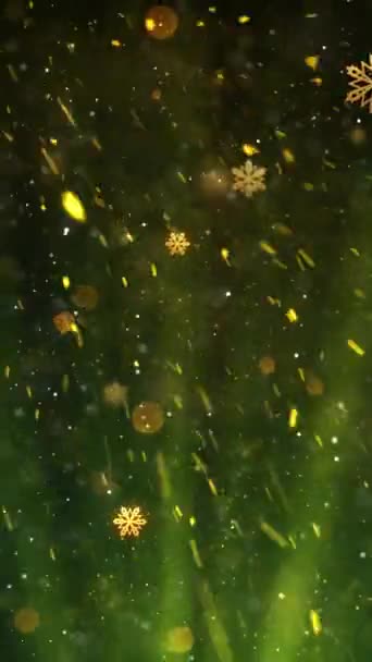 Mobile Vertical Resolution 1080X1920 Pixels Christmas Snow Snowflakes Rays Background — Stock Video