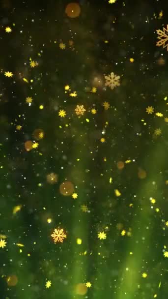 Мобільна Вертикальна Роздільна Здатність 1080X1920 Pixels Різдвяний Сніг Сніжинки Промені — стокове відео