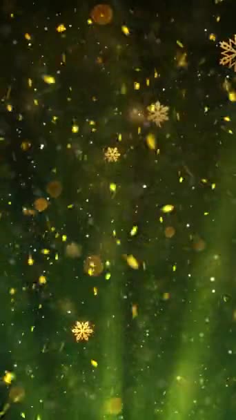 Κινητή Κάθετη Ανάλυση 1080X1920 Pixels Christmas Snow Snowflakes Rays Background — Αρχείο Βίντεο