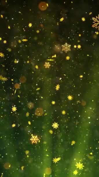 Mobile Vertikale Auflösung 1080X1920 Pixel Weihnachten Schnee Und Schneeflocken Strahlen — Stockvideo