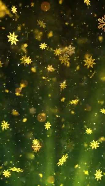 Przenośna Rozdzielczość Pionowa 1080X1920 Pikseli Christmas Snow Snowflakes Promienie Tła — Wideo stockowe