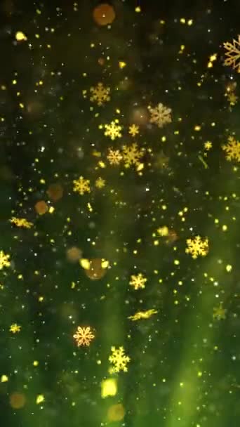 Przenośna Rozdzielczość Pionowa 1080X1920 Pikseli Christmas Snow Snowflakes Promienie Tła — Wideo stockowe