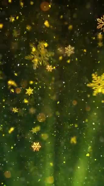 Κινητή Κάθετη Ανάλυση 1080X1920 Pixels Christmas Snow Snowflakes Rays Background — Αρχείο Βίντεο