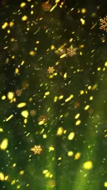 Mobile Vertical Resolution 1080X1920 Pixels Christmas Snow Snowflakes Rays Background — Stock Video
