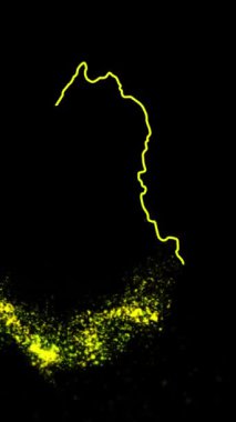 Mobil Dikey Çözünürlük 1080x1920 Piksel, Arnavutluk Ülke Dijital Giriş Açıcı Animasyonu, Teknolojiye Uygun, Turizm, Sunumlar, Spor Etkinlikleri