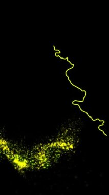 Mobil Dikey Çözünürlük 1080x1920 Pikseller, Vietnam Ülke Dijital Giriş Açıcı Animasyonu, Teknoloji Gösterileri, Turizm, Sunumlar, Spor Ermeniliği 