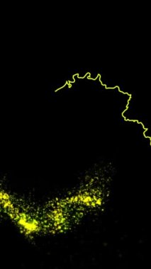 Mobil Dikey Çözünürlük 1080x1920 Pikseller, Belçika Ülke Dijital Giriş Açıcı Animasyonu, Teknoloji İçin Uygun, Turizm, Sunumlar, Spor Etkinlikleri