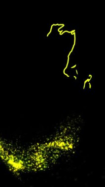 Mobil Dikey Çözünürlük 1080x1920 Pikseller, Belize Ülke Dijital Giriş Açıcı Animasyonu, Teknolojiye Uygun Gösteriler, Turizm, Sunumlar, Spor Etkinlikleri