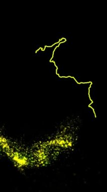 Mobil Dikey Çözünürlük 1080x1920 Pikseller, Kolombiya Ülke Dijital Giriş Açıcı Animasyonu, Teknoloji İçin Uygun, Turizm, Sunumlar, Spor Etkinlikleri