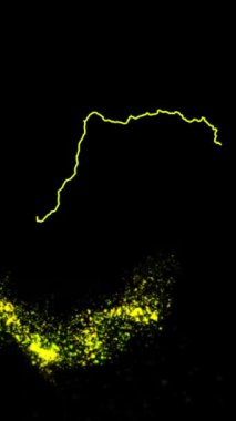 Mobil Dikey Çözünürlük 1080x1920 Pikseller, Kongo Demokratik Ülke Dijital Giriş Açıcı Animasyonu, Teknoloji Gösterileri, Turizm, Sunumlar, Spor Etkinlikleri