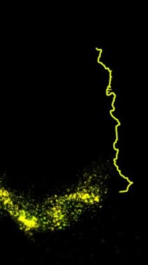 Mobil Dikey Çözünürlük 1080x1920 Pikseller, Gana Ülke Dijital Giriş Açıcı Animasyonu, Teknoloji İçin Uygun, Turizm, Sunumlar, Spor Etkinlikleri