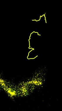 Mobil Dikey Çözünürlük 1080x1920 Piksel, İsrail Ülke Dijital Giriş Açıcı Animasyonu, Teknoloji İçin Uygun, Turizm, Sunumlar, Spor Etkinlikleri