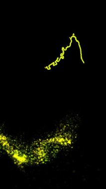 Mobil Dikey Çözünürlük 1080x1920 Pikseller, Madagaskar Ülke Dijital Giriş Açıcı Animasyonu, Teknoloji İçin Uygun, Turizm, Sunumlar, Spor Etkinlikleri