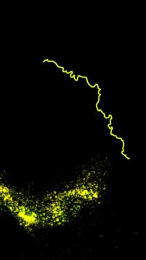 Mobil Dikey Çözünürlük 1080x1920 Pikseller, Moldova Ülke Dijital Giriş Açıcı Animasyonu, Teknolojiye Uygun, Turizm, Sunumlar, Spor Etkinlikleri
