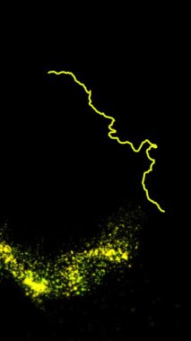 Mobil Dikey Çözünürlük 1080x1920 Piksel, Sırbistan Ülke Dijital Giriş Açıcı Animasyonu, Teknolojiye Uygun, Turizm, Sunumlar, Spor Etkinlikleri