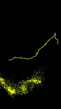 Mobil Dikey Çözünürlük 1080x1920 Pikseller, Birleşik Arap Emirlikleri Ülke Dijital Giriş Açıcı Animasyonu, Teknoloji İçin Uygun, Turizm, Sunumlar, Spor Etkinlikleri