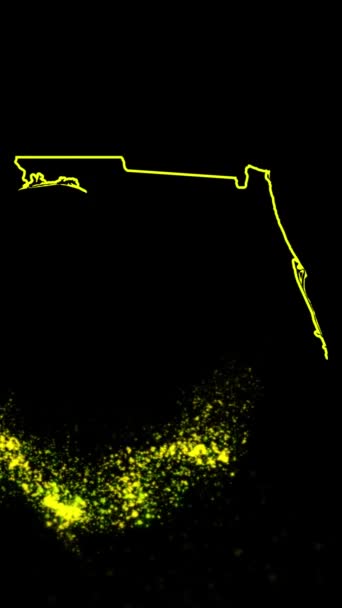 Mobil Dikey Çözünürlük 1080X1920 Pikseller Florida Eyaleti Dijital Giriş Açıcı — Stok video