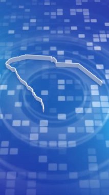 Mobil Dikey Çözünürlük 1080x1920 Pikseller, Güney Carolina Eyaleti (ABD) 3D Minimal Arka plan Giriş, Çok Amaçlı Politika, Seçimler, Seyahat, Haber ve Spor Olayları İçin Kullanışlı