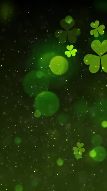 Mobile Vertical Resolution 1080X1920 Pixels Patrick Day Background Animation Seamless — Stock Video