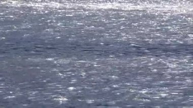 Güneş ışığı bir su kütlesinin dalgalanan yüzeyini yansıtır. Rüzgarlı bir günde küçük dalgalar hareket ederken ışıl ışıl bir etki yaratır.