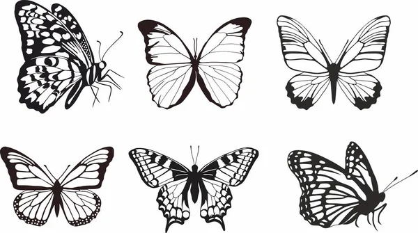 Set Vettoriale Farfalle Monocromatiche Bellissimo Insetto Con Grandi Ali Nere — Vettoriale Stock