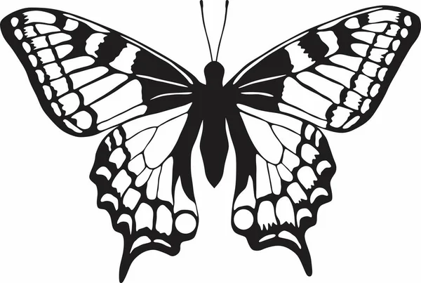 Vector Mariposa Monocroma Hermoso Insecto Con Grandes Alas Negras Dibujo — Vector de stock