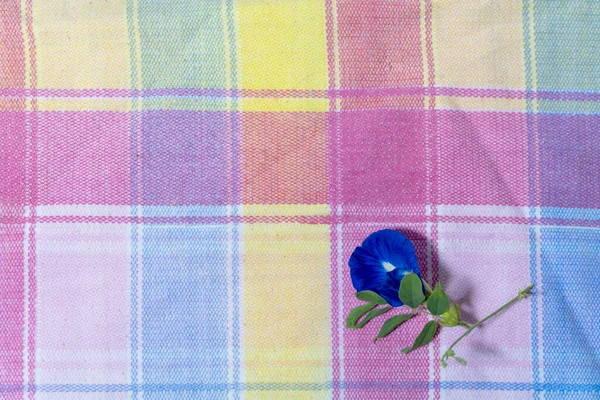 Blue flowers on table cloth fabric gingham background, top view, copy space.
