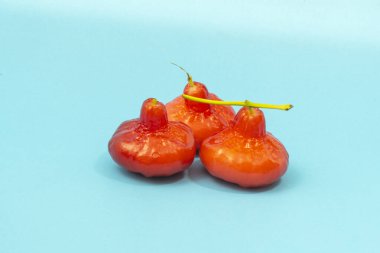 Kırmızı Su Guava, Gül Elması ve mavi arka plan estetik ve ferahlatıcı görünüyor..