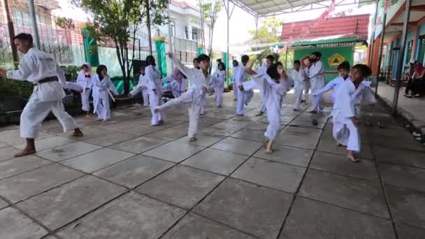 Children Practicing Kicks Martial Arts Karate Video Footage South Kalimantan — Stockvideo