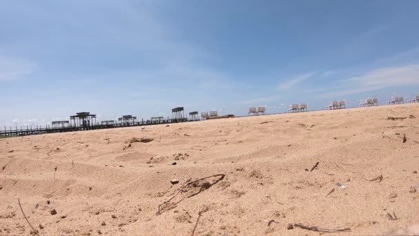 Hombre Está Corriendo Playa Arena Durante Cielo Despejado Cámara Coloca — Vídeos de Stock
