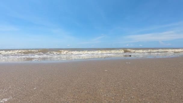 Okyanusun Kıyısındaki Büyük Dalgalar Sahil Şeridi Mavi Gökyüzü Açık Gündüz — Stok video