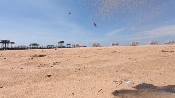 海岸に青い空から散乱ビーチ砂のスローモーション スローモーションビデオ映像 — ストック動画