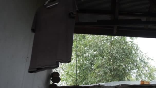 าแขวนอย าแขวนและถ กเป วยลมท นหล งของป าไม ในตอนเย นระหว างฝนตก — วีดีโอสต็อก