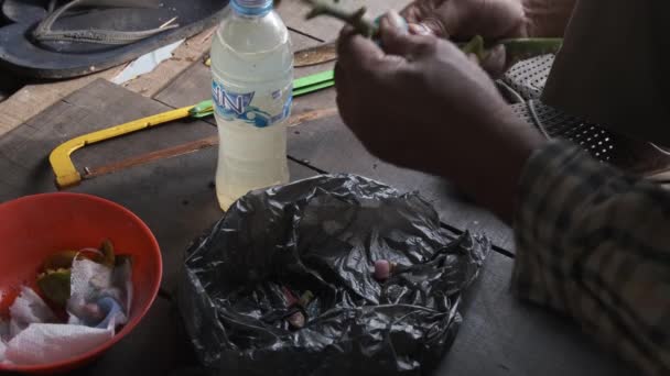 植物茎嫁接 一位年迈的亚洲男子正在准备接枝 并在接枝上涂芦荟凝胶 — 图库视频影像