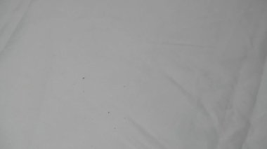 Parçalanmış ve kırılmış tüm parçalar fırlatıldı. Ezilmiş, dağılmış ve artık spiral şeklini korumuyor. Parçalanana kadar zorla fırlatılmış. 4K video görüntüleri. Parçalanana kadar zorla atılmış.