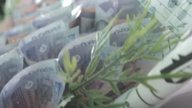 Para buketi. Mor on bin Endonezya rupiası, yeşil bir çiçek buketini andırarak benzersiz ve göz alıcı bir sergi yaratıyor. Kalimantan, Endonezya. 27 Kasım 2023