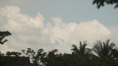 Sayısız palmiye ağaçlarının silueti parlak mavi bir gökyüzünün perde arkasına doğru yükselir, kabarık beyaz bulutlarla karışır. Katmanlı palmiyeler tropikal ve sakin bir atmosfer yaratır.,