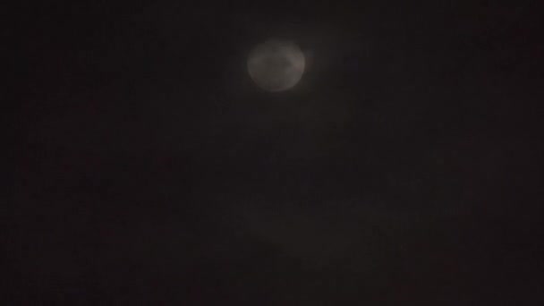 云彩在夜间从月亮上经过 满月在夜间与云彩实时 神秘仙境场景 夜空中的满月 — 图库视频影像