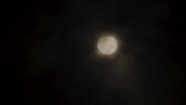 满月在漆黑的夜空中闪闪发光 其明亮的光芒在周围的风景上投射出柔和的光芒 宁静的月光照亮了夜晚 营造出平静祥和的氛围 — 图库视频影像
