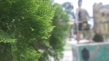 Bir çift geleneksel heykel ayağı kısmen yapraklarla ve yeşil çam ağaçlarıyla kaplı. Doğal yapraklar, oyulmuş detaylarla çelişiyor. Kültür ve doğa karışımı bir şey yaratıyor. Projeler için mükemmel. 