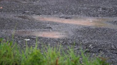 Yere yavaşça düşen yağmur damlaları küçük dalgalar ve su birikintileri oluşturur. Sakin bir yağmurlu günde yağmur suyu toprakta birikir. Rahatlatıcı ve huzurlu atmosfer görüntüleriyle. 4K görüntü.