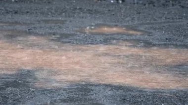 Yumuşak yağmur toprağı vurur ve çamurlu zeminde parlayan su birikintileri oluşturmaya başlar. Sakin ve karamsar bir yağmur manzarası, sakin ya da atmosferik arka plan görselleri için mükemmel. 4K görüntü.
