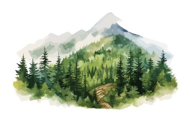 Suluboya Orman Ağacı illüstrasyonu. Dağ manzarası. Orman çam ağaçları. Yeşil Orman