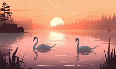 Şafak vaktindeki göldeki kuğuların sakin görüntüsü izole edilmiş.