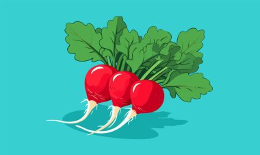 Sebze ikonu. vektör illüstrasyonu