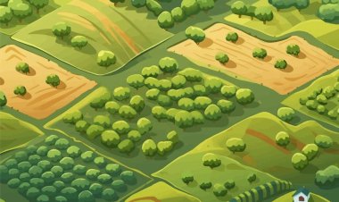 Alan vektörünün en üst görüntüsü izole edilmiş görüntü