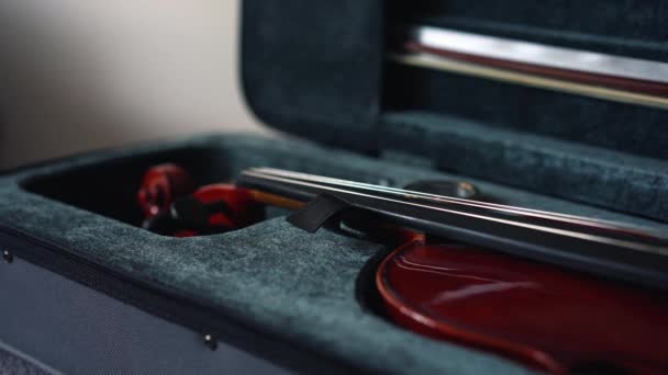 Violino Madeira Com Verniz Brilhante Que Levantado Caso Por Uma — Vídeo de Stock