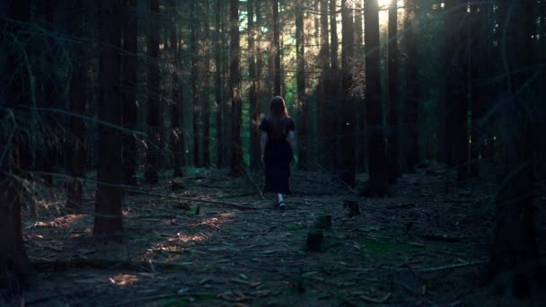 黒いドレスの若い女性は太陽の夏の光に照らされた暗い森の中を歩いています — ストック動画
